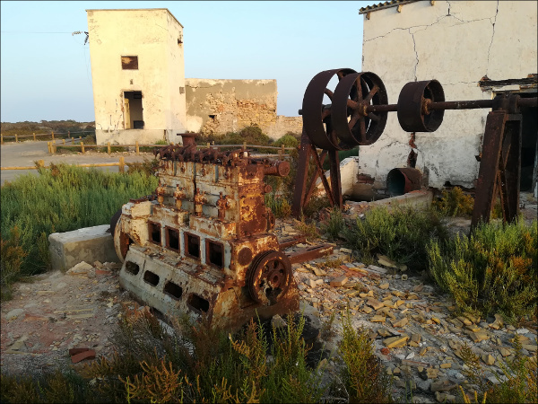 eje de poleas y motor