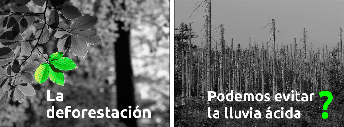 imagenes en blanco y negro con un elemento en verde