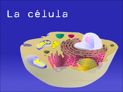 diapositiva con fondo con degradado