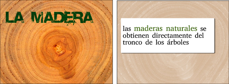 diapositivas con imagen de fondo