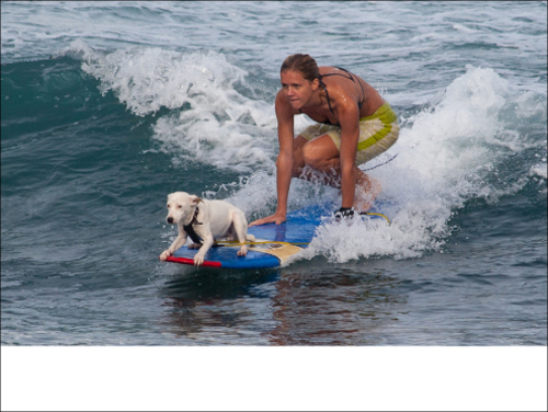 imagen con espacio en blanco debajo