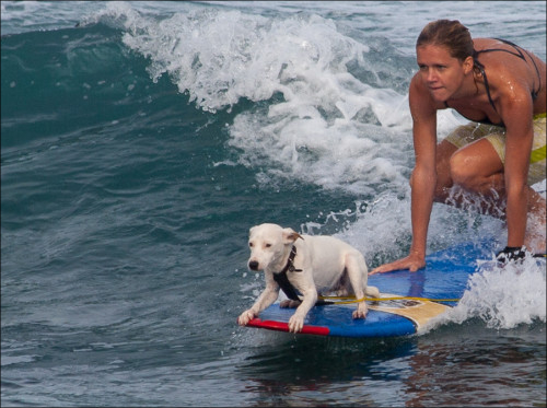 imagen mayor que la diapositiva