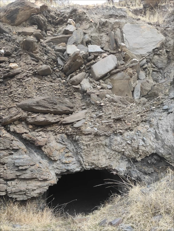 Entrada a la galera Amalio