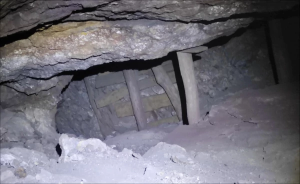 Entibados en la galera Amalio